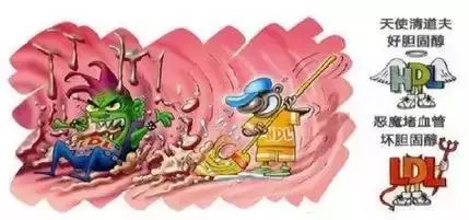 平博·pinnacle(国际)体育官网