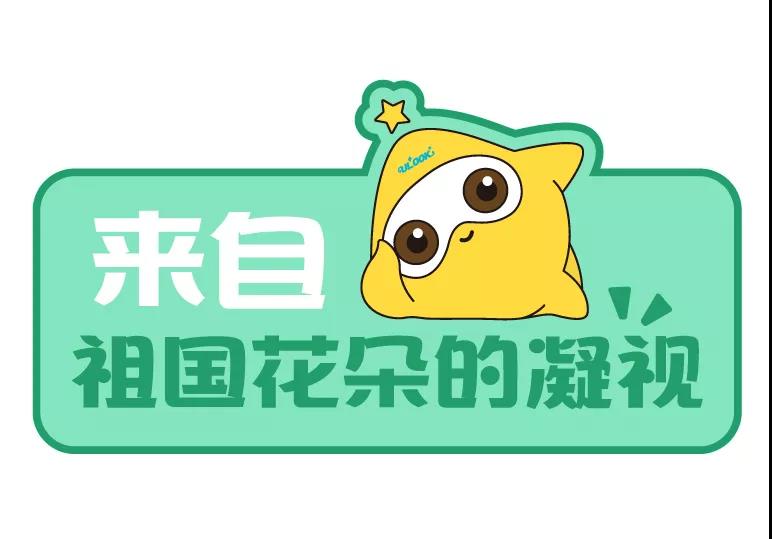 平博·pinnacle(国际)体育官网